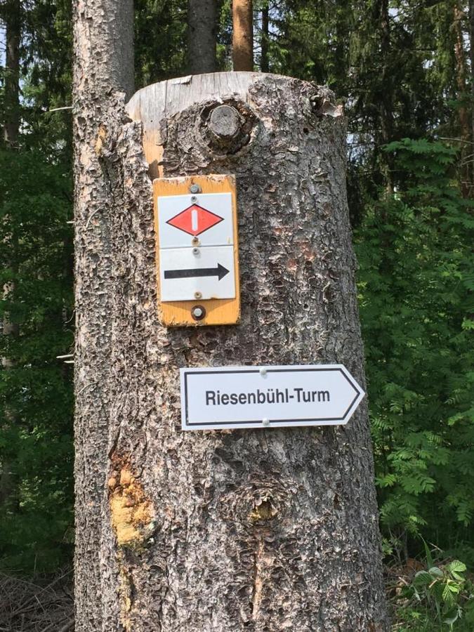 Ferienwohnung Schwarzwaldglück Schluchsee Exterior foto