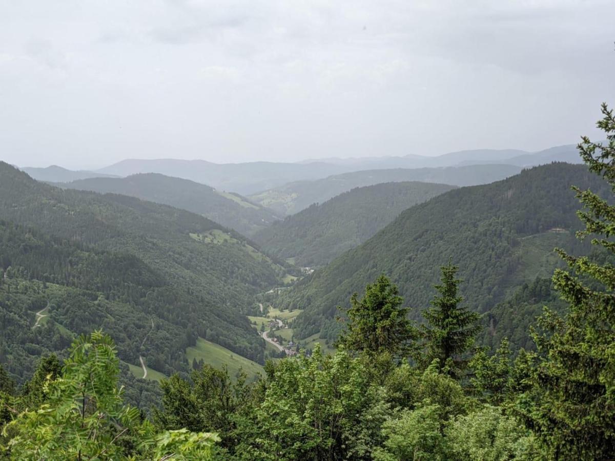Ferienwohnung Schwarzwaldglück Schluchsee Exterior foto